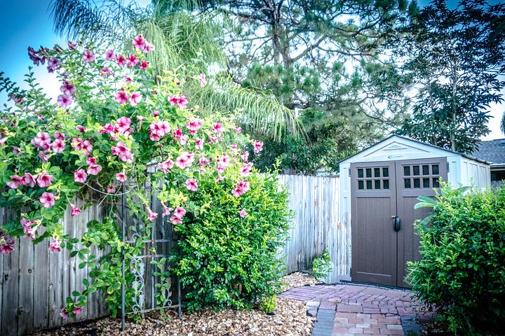 shed in backyard decorated with flowers and greenery